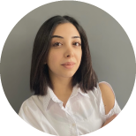 Digital and Mobile Financial Systems Project Manager - Team Telecom Armenia